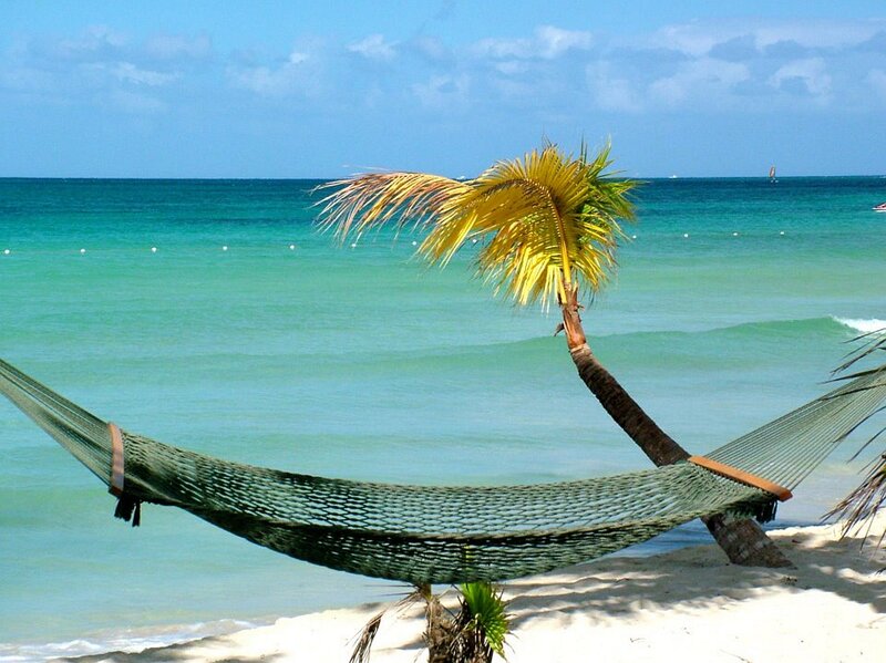Hammock on Beach — Blue, Serene, Afternoon