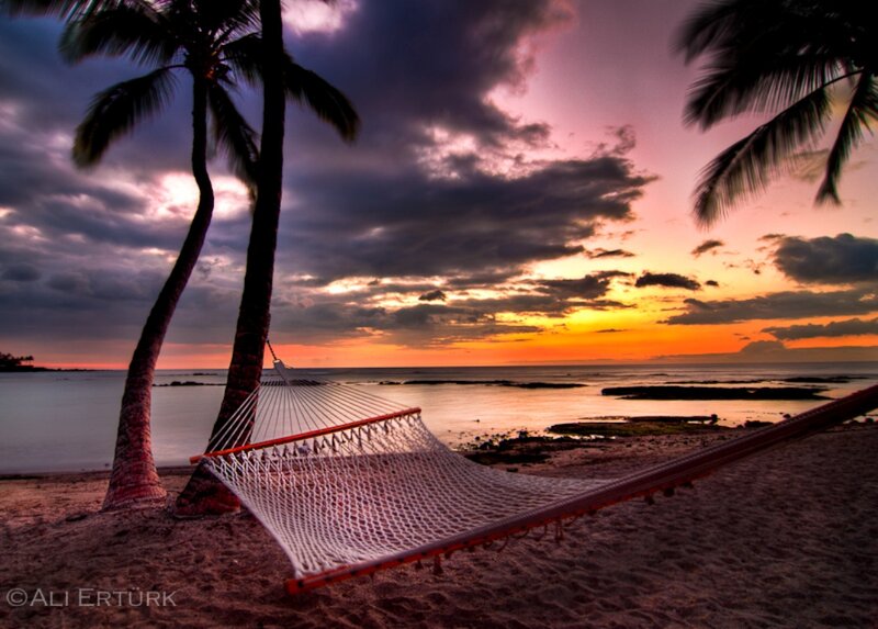 Hammock on Beach — Orange