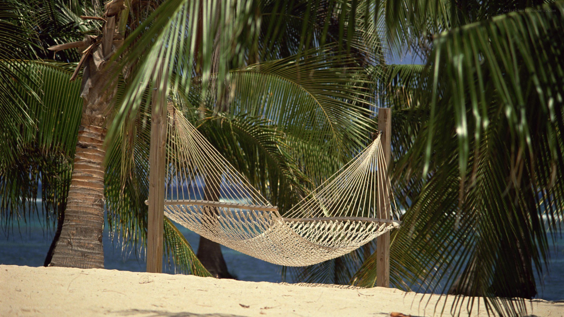 Hammock on tropical beach