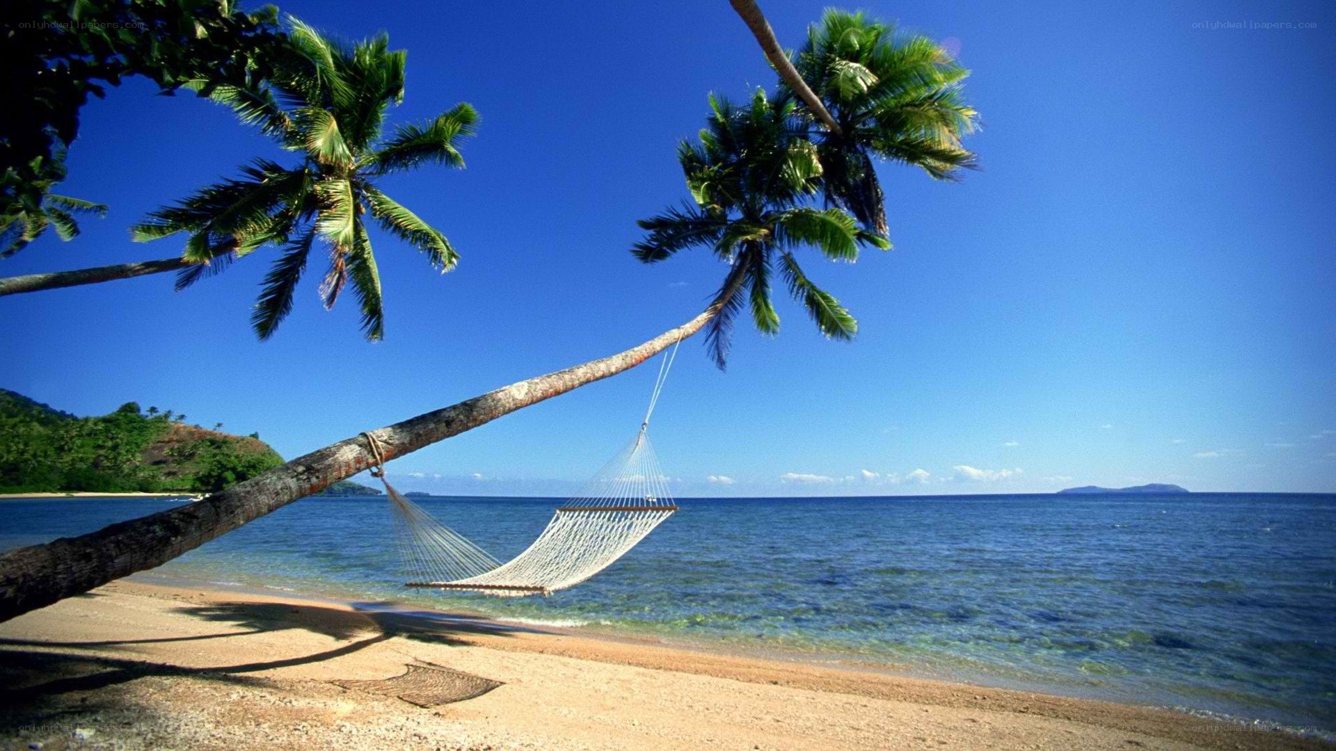 hammock on tropical beach