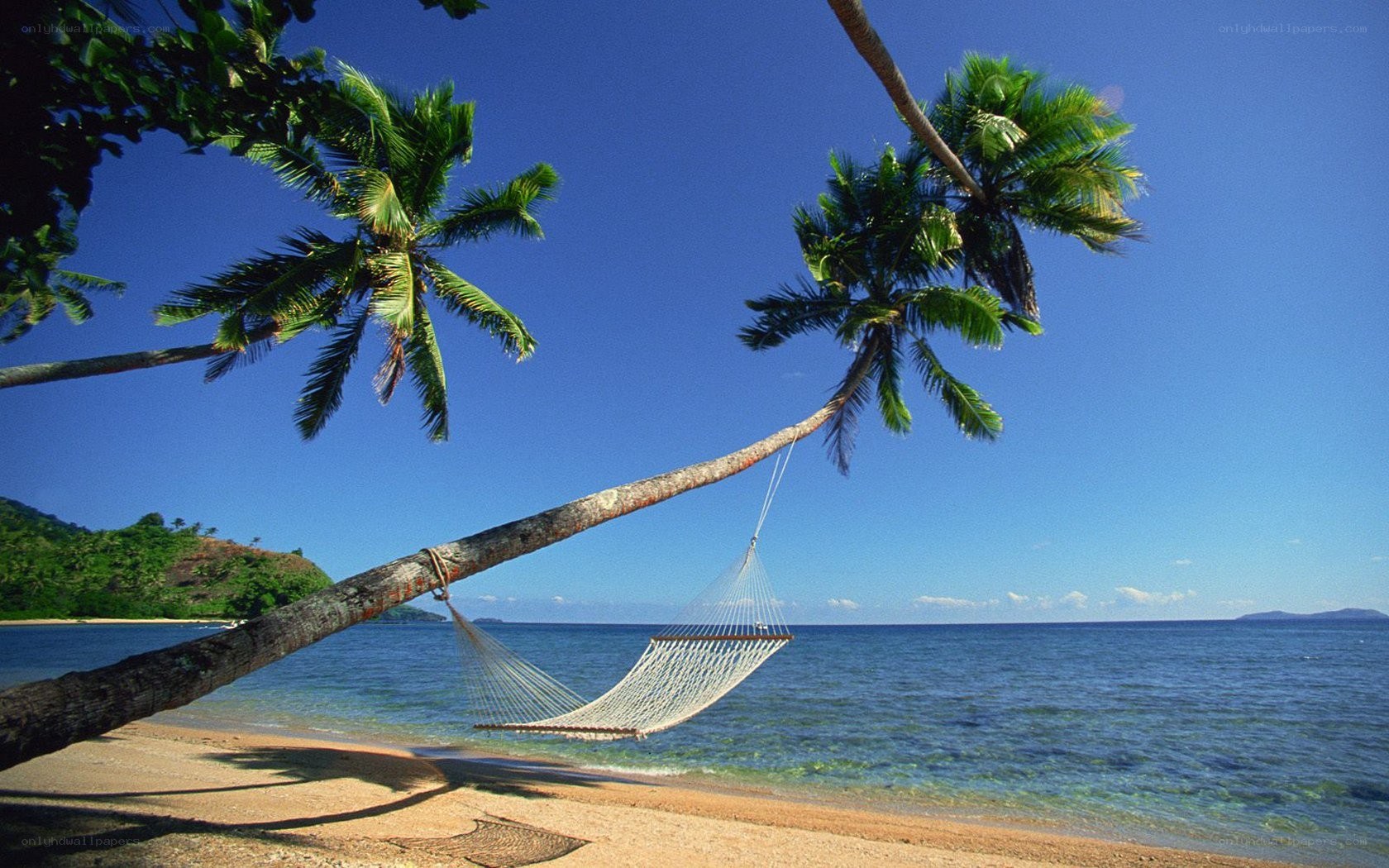 hammock on tropical beach