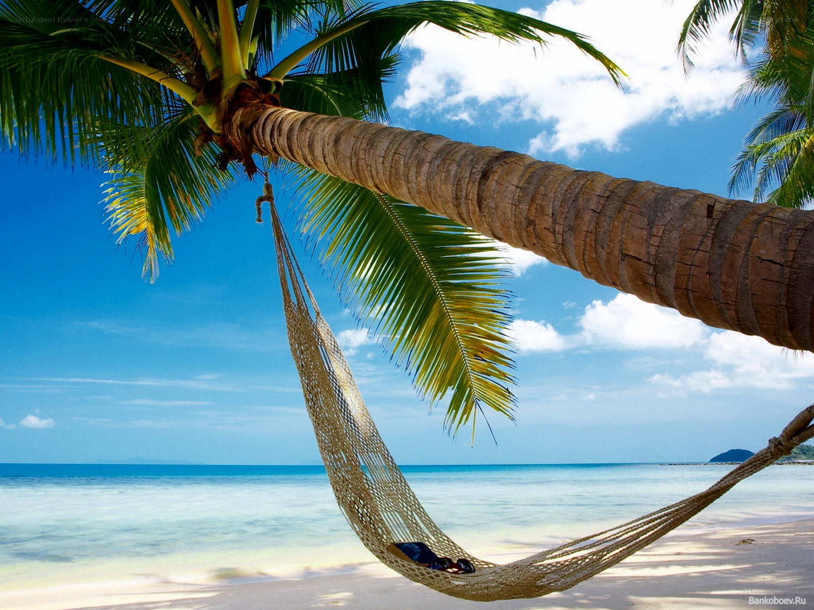 Hammock on tropical beach