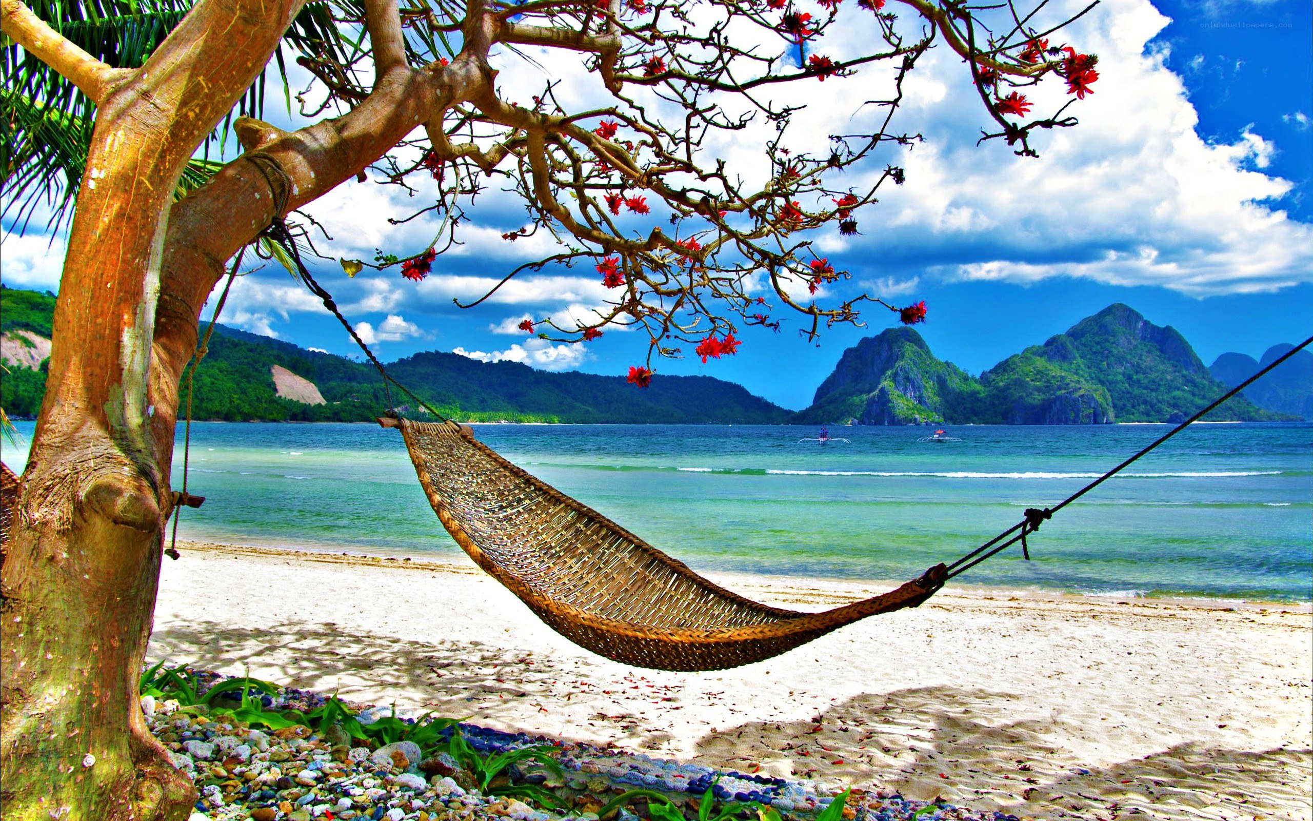 Hammock on tropical beach