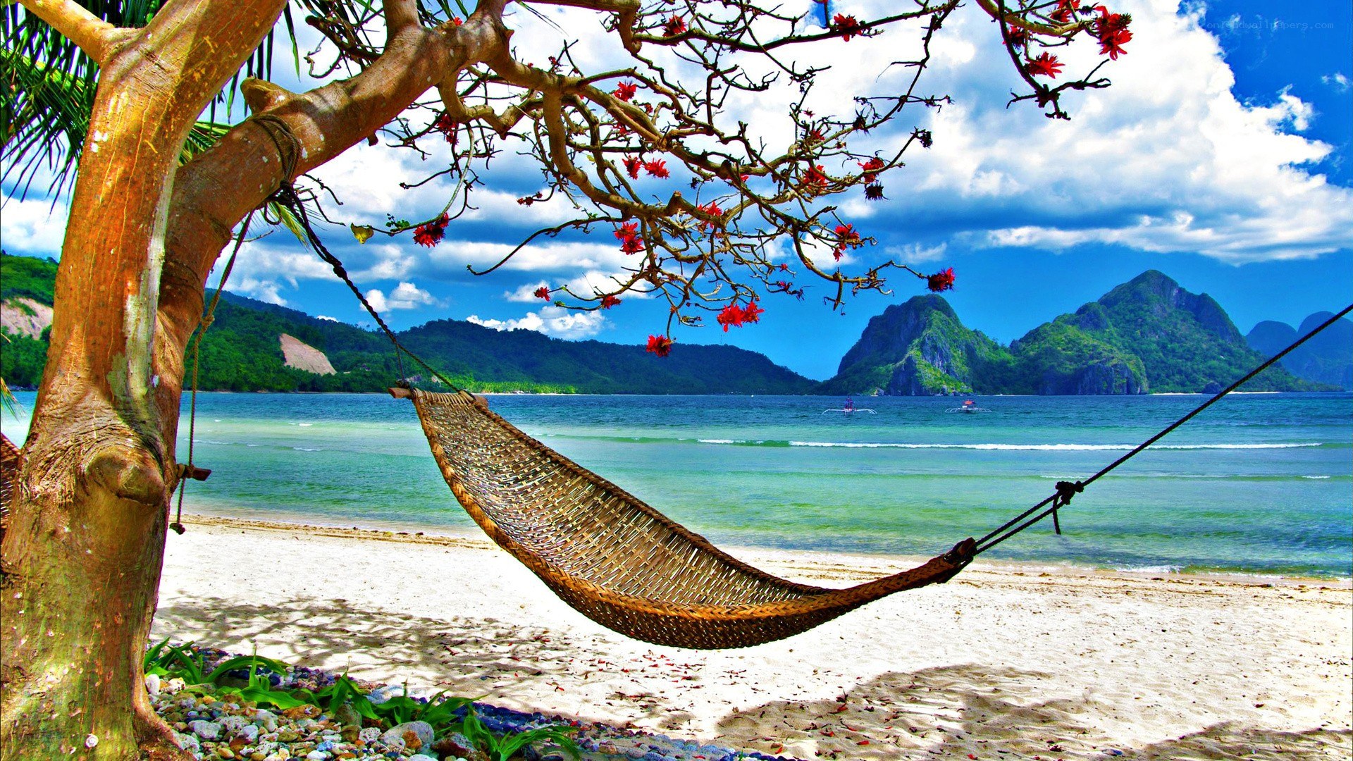 Hammock on tropical beach