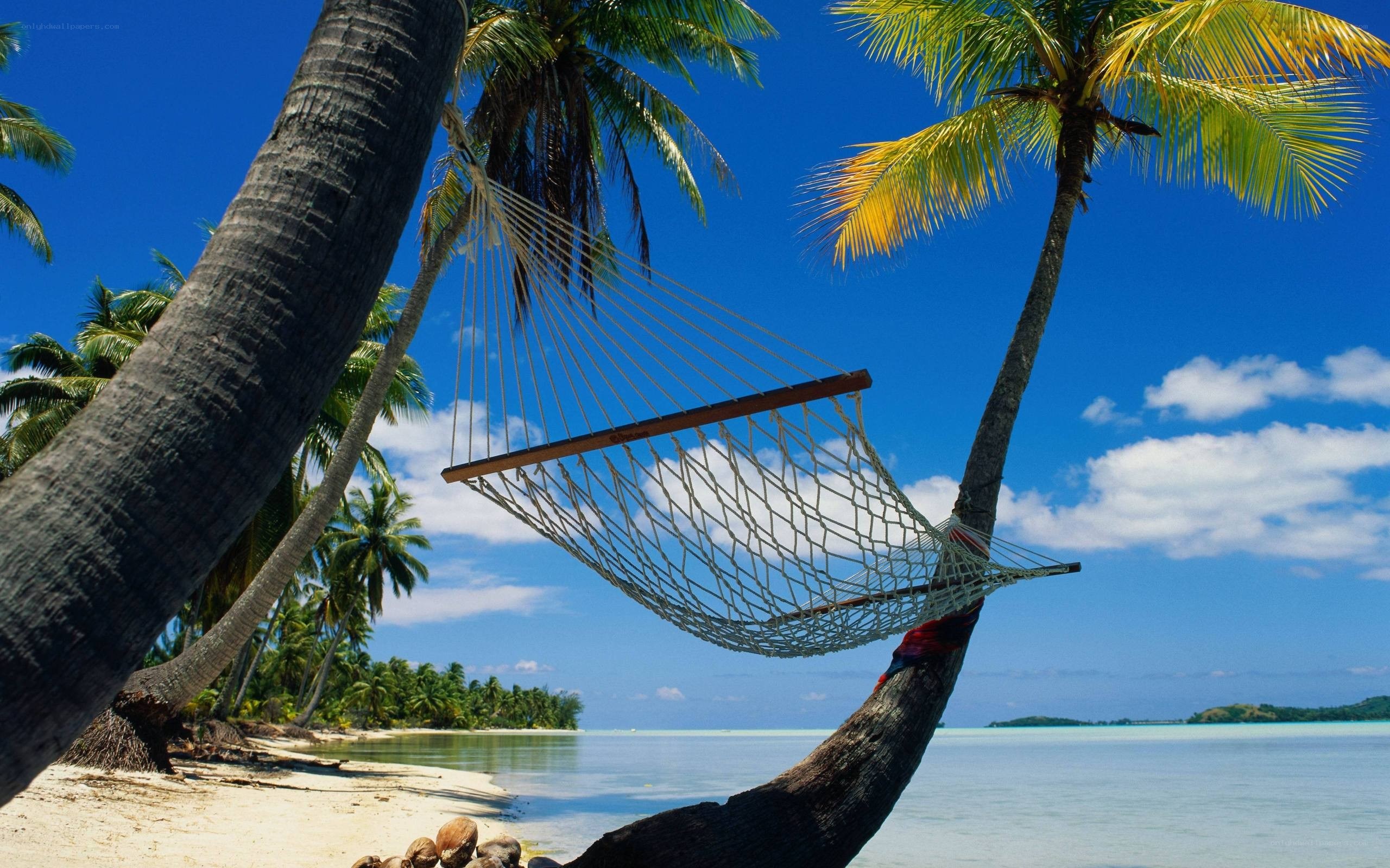 Hammock on tropical beach