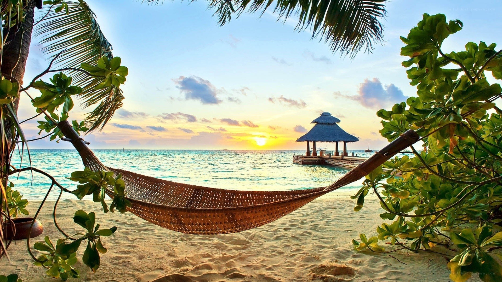 Hammock on tropical beach at sunset