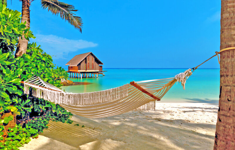 Hammock on Tropical Beach — Blue, Serene, Afternoon, Photograph, Palm Tree, Bungalow