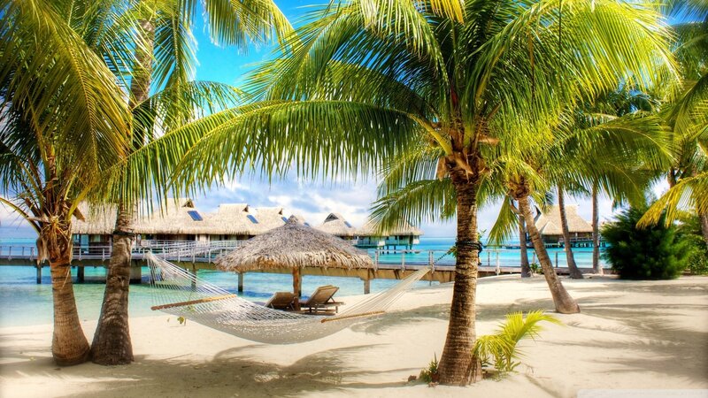 Hammock on Tropical Beach — Blue, Serene, Afternoon, Photograph, Palm Trees, Bungalows, Thatched Umbrella