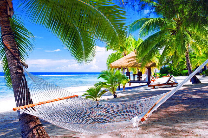 Hammock on Tropical Beach — Blue, Serene, Afternoon, Photograph, Palm Trees