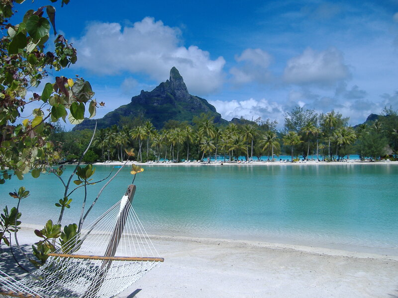 Hammock on Tropical Beach — Blue, Serene, Afternoon