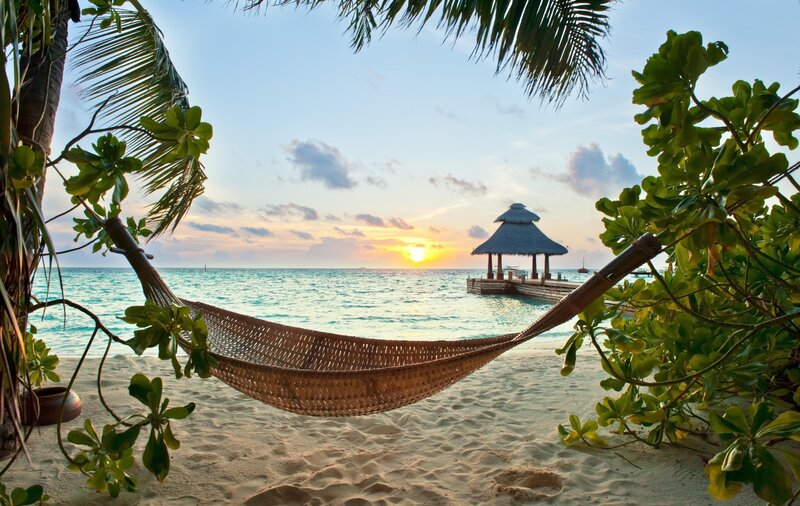 Hammock on Tropical Beach — Blue, Serene, Sunset