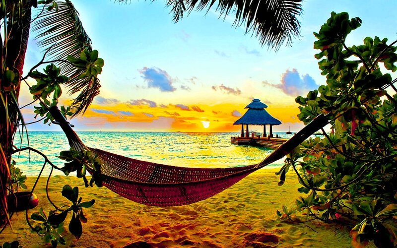 Hammock on Tropical Beach — Yellow