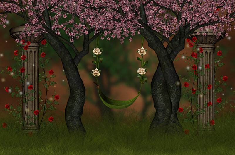 Hammock under Cherry Trees