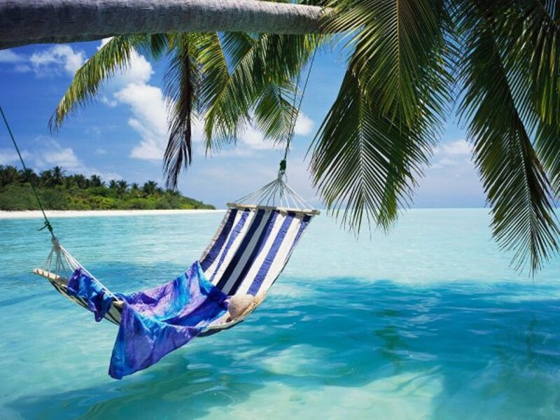 Hammock under Palm Tree — Blue, Serene, Afternoon, Photograph, Palm Tree