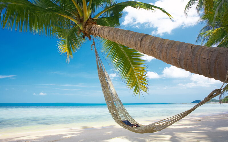 Hammock under Palm Tree — Blue, Serene, Afternoon, Photograph