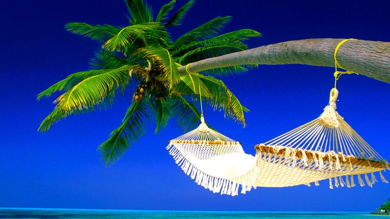 Hammock under Palm Tree — Blue, Serene, Afternoon