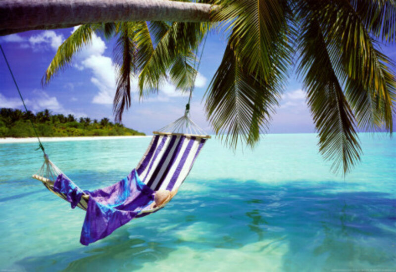 Hammock under Palm Tree — Blue, Serene
