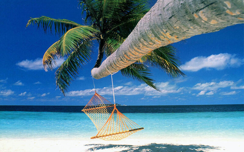 Hammock under Palm Tree — Blue