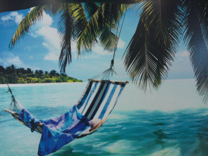Hammock under Palm Trees