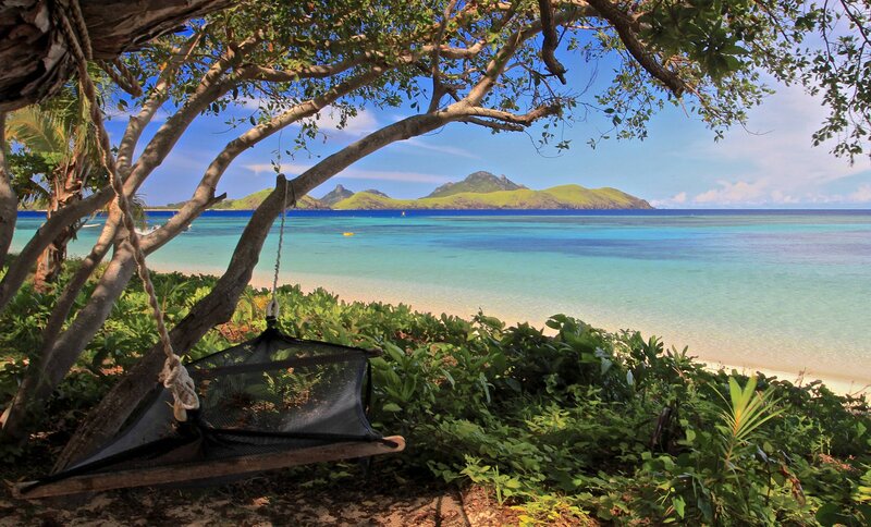 Hammock under Tree