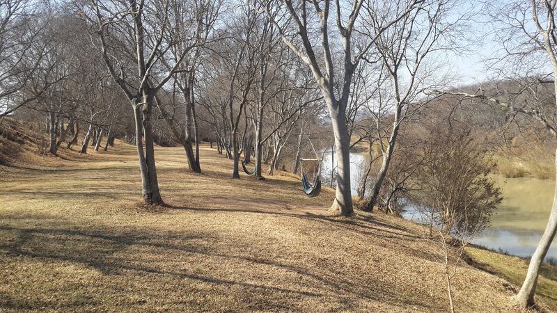 Hammocks in a Park