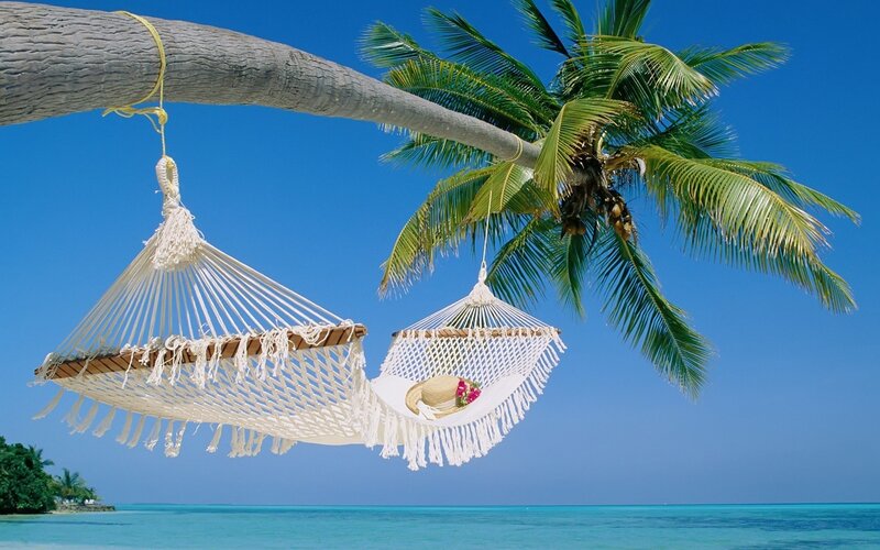 Hammocks under palm tree