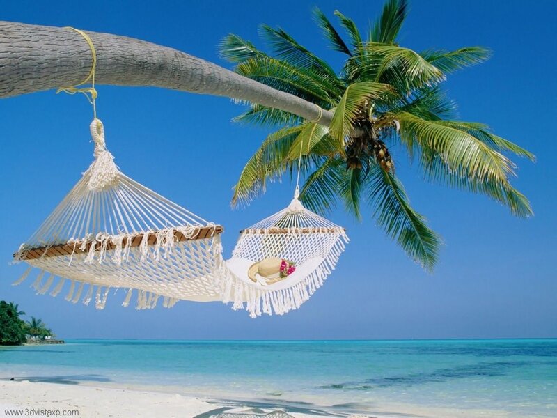 Hammocks under Palm Tree — Blue, Serene
