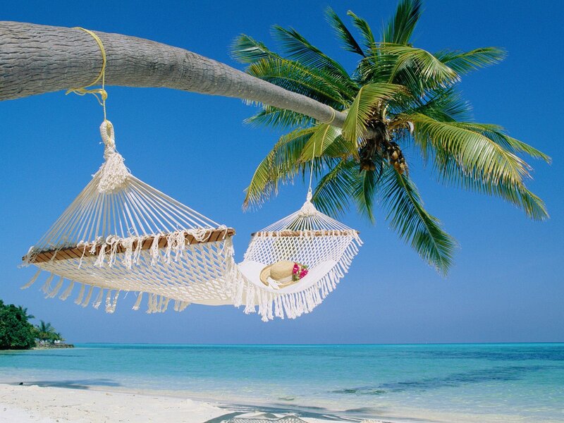 Hammocks under Palm Tree — Blue