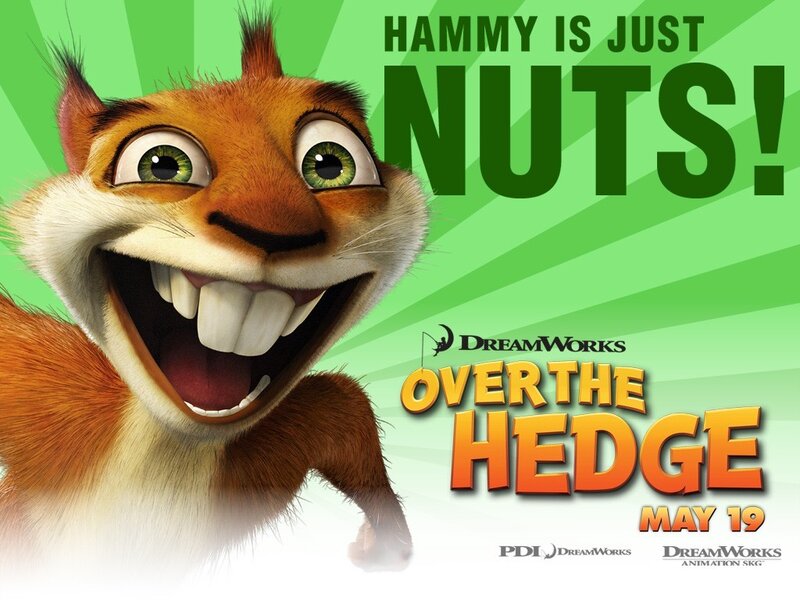 Hammy is just nuts
