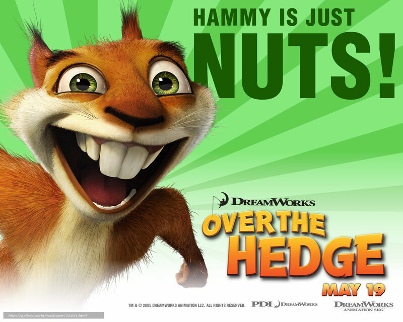 Hammy is just nuts