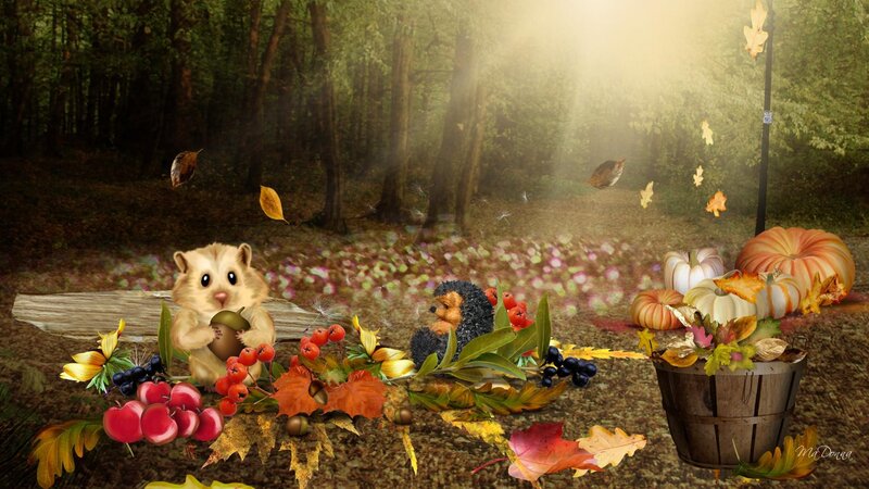 Hamster and Hedgehog in Forest — Brown