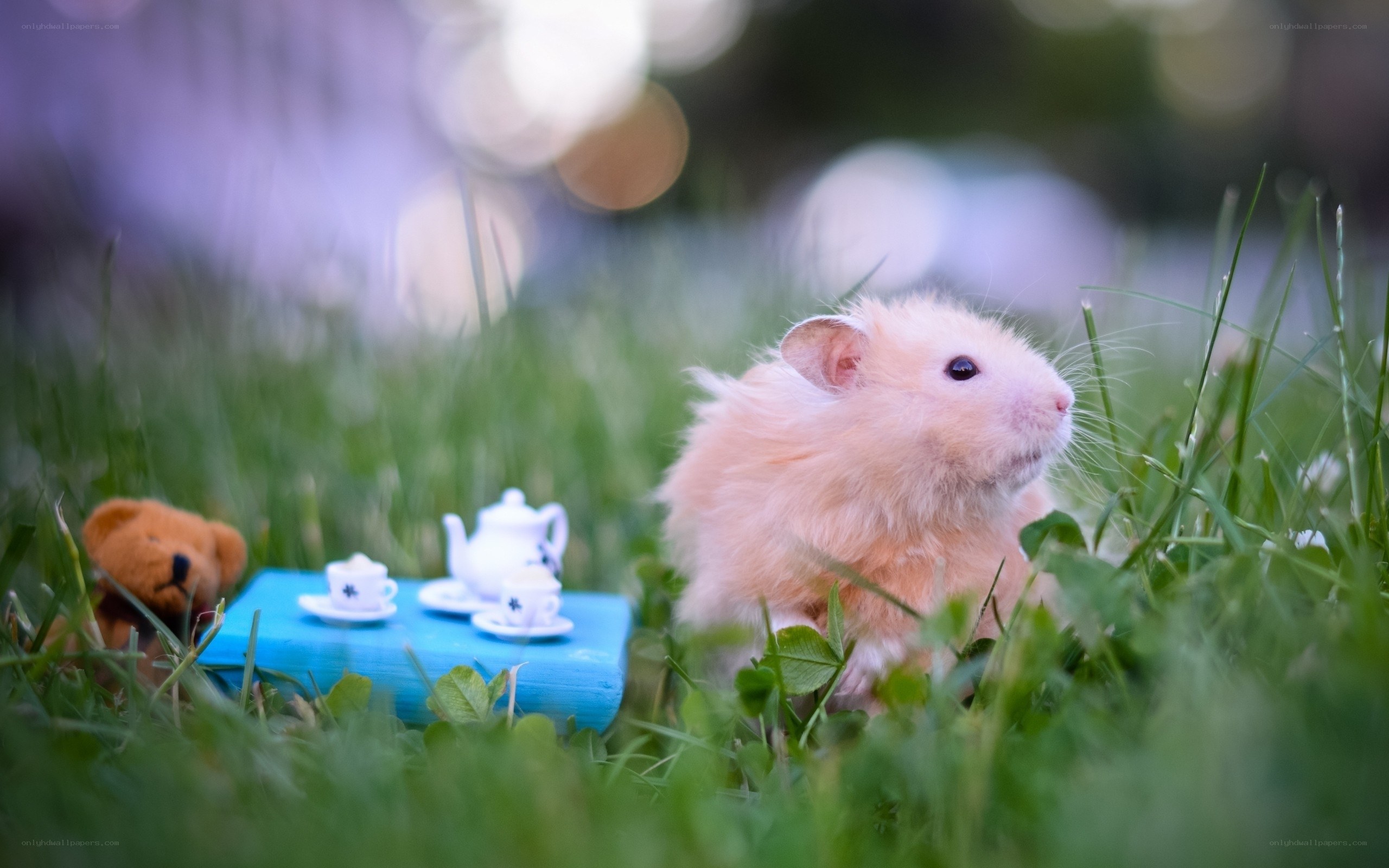 hamster at a tea party