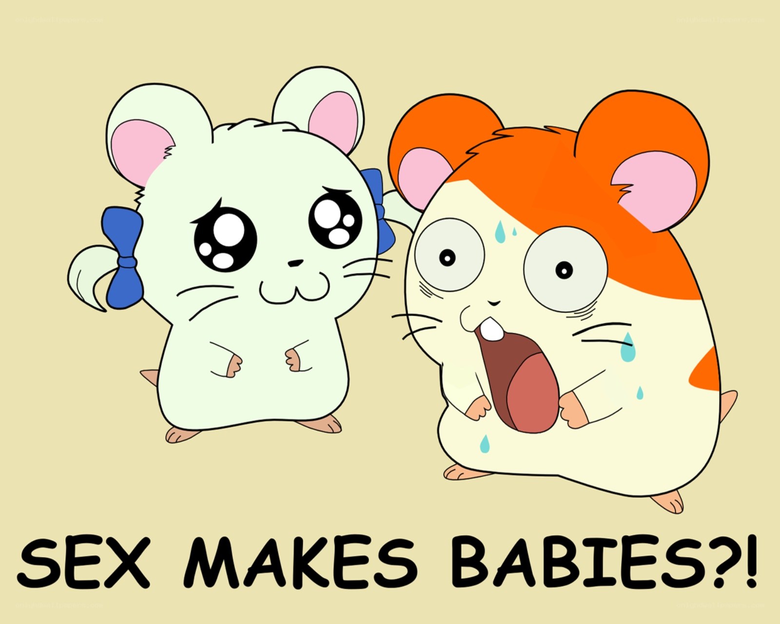Hamster babies question