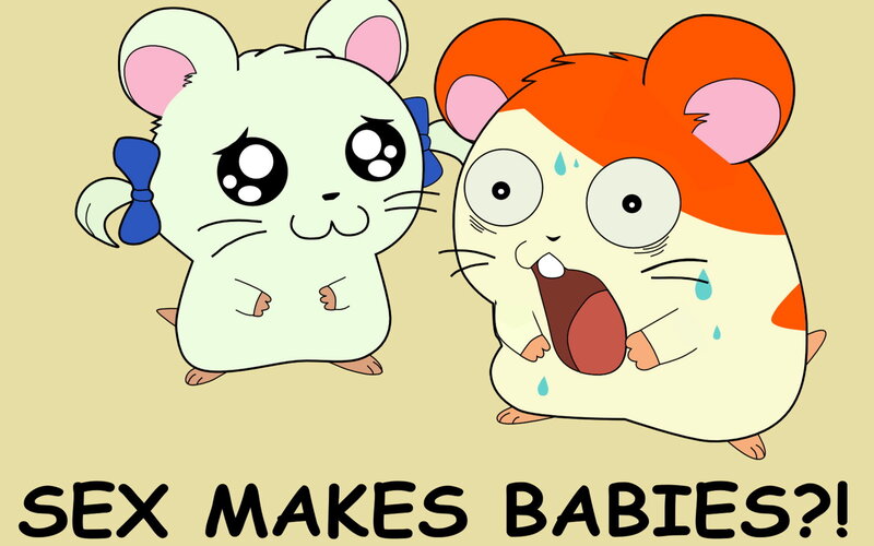 Hamster characters with text