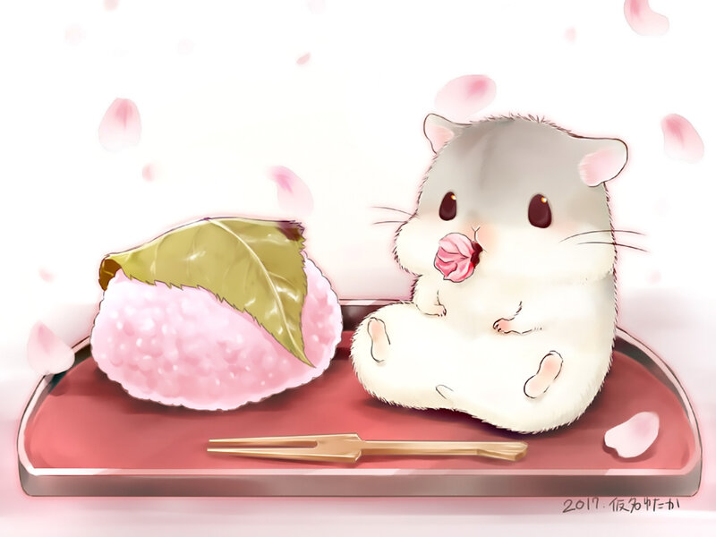 Hamster Eating Rice Ball