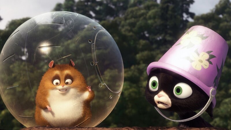 hamster in a ball and cat with bucket