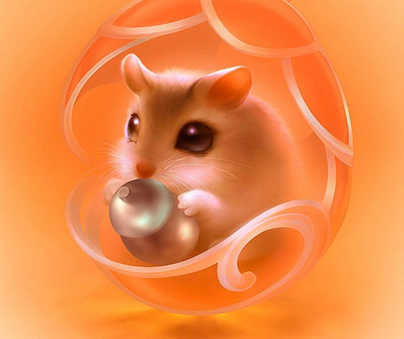 Hamster in a Ball — Orange