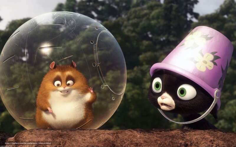 Hamster in a ball with a cat