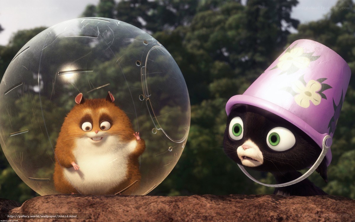 Hamster in a ball with a cat