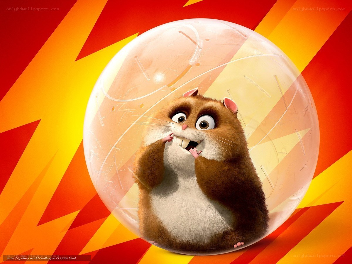 hamster in a ball