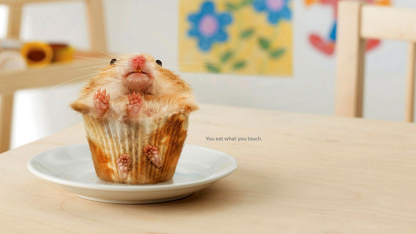 hamster in a cupcake