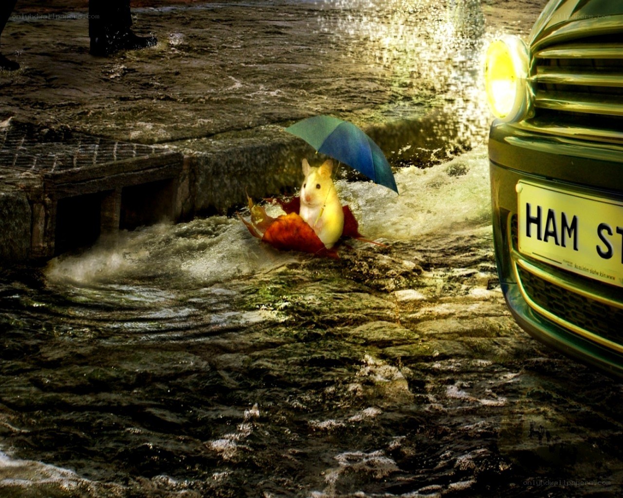 Hamster in a flooded street