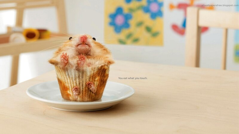 Hamster in Cupcake — Brown