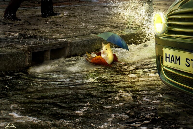 Hamster in Flood