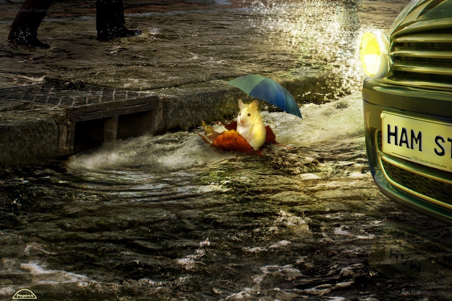 hamster in flooded street
