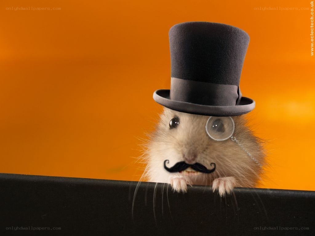 hamster in top hat and mustache