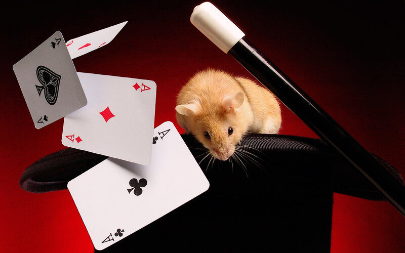 Hamster in Top Hat — Black