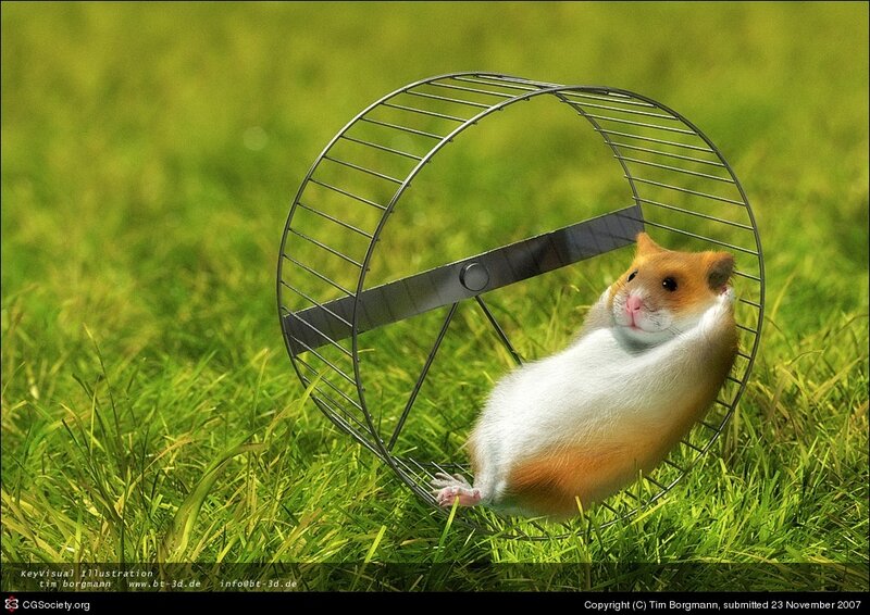 Hamster in Wheel