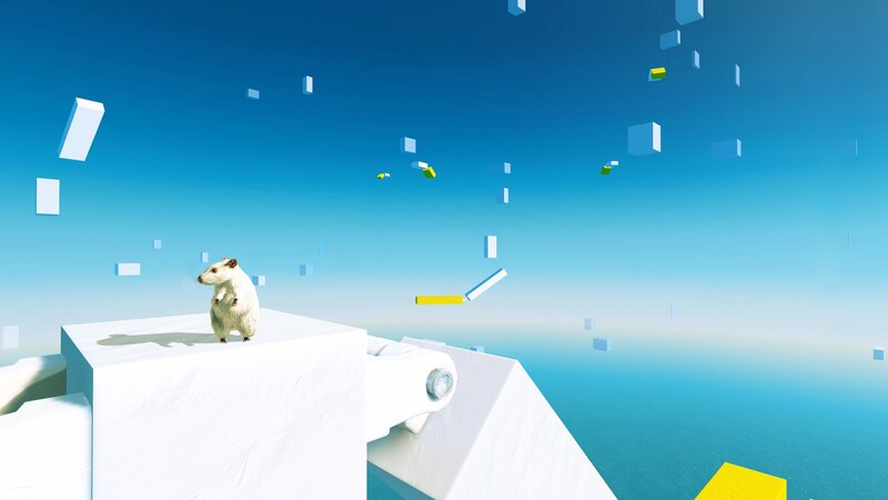 hamster on a white platform