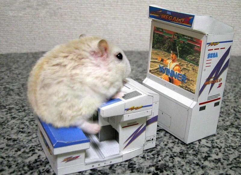 hamster playing arcade game